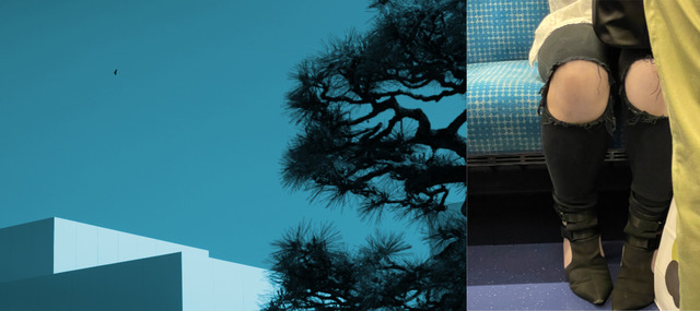 SAMEN-samen