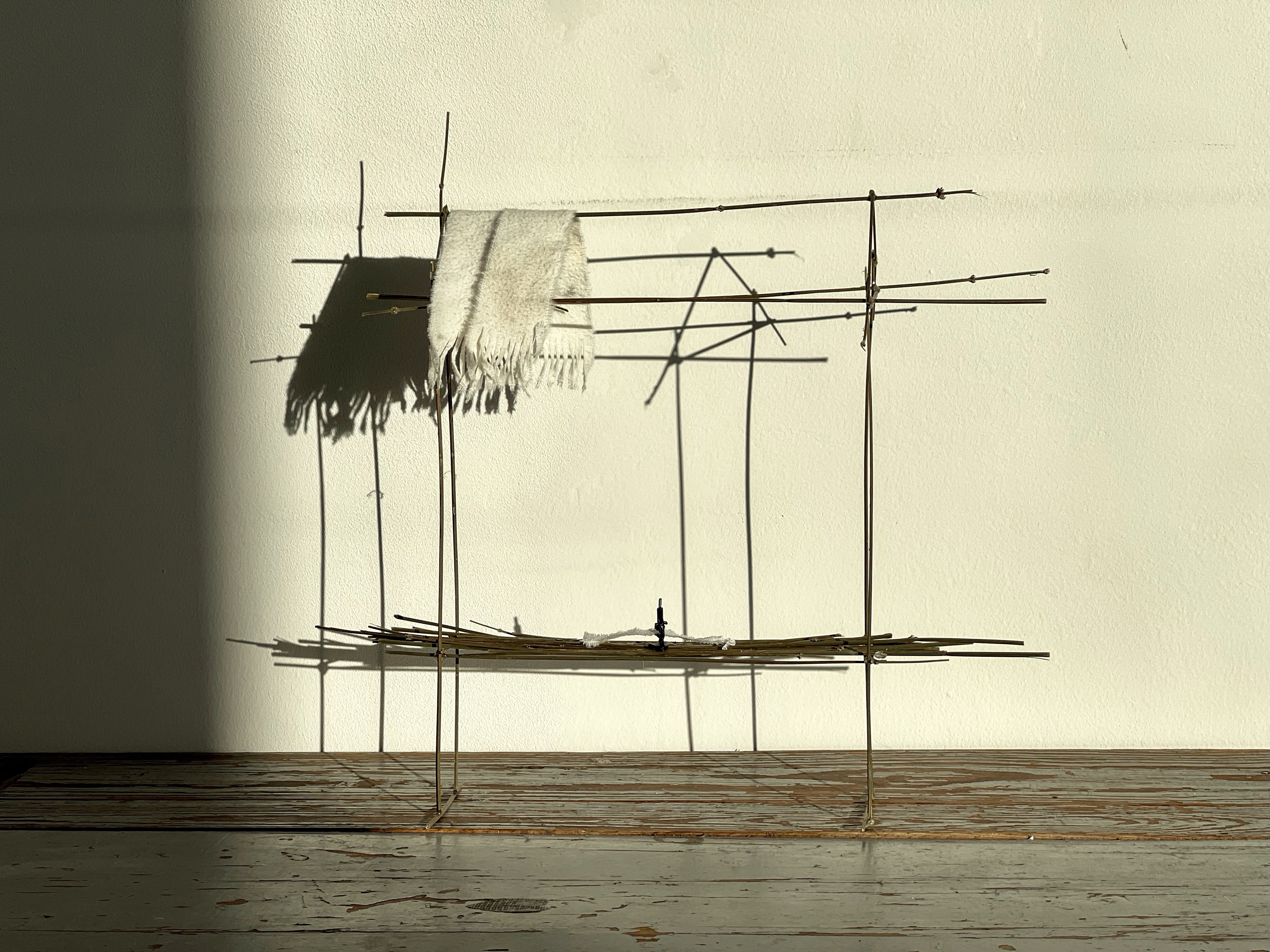 Bazar of Peace | Caro Bensca