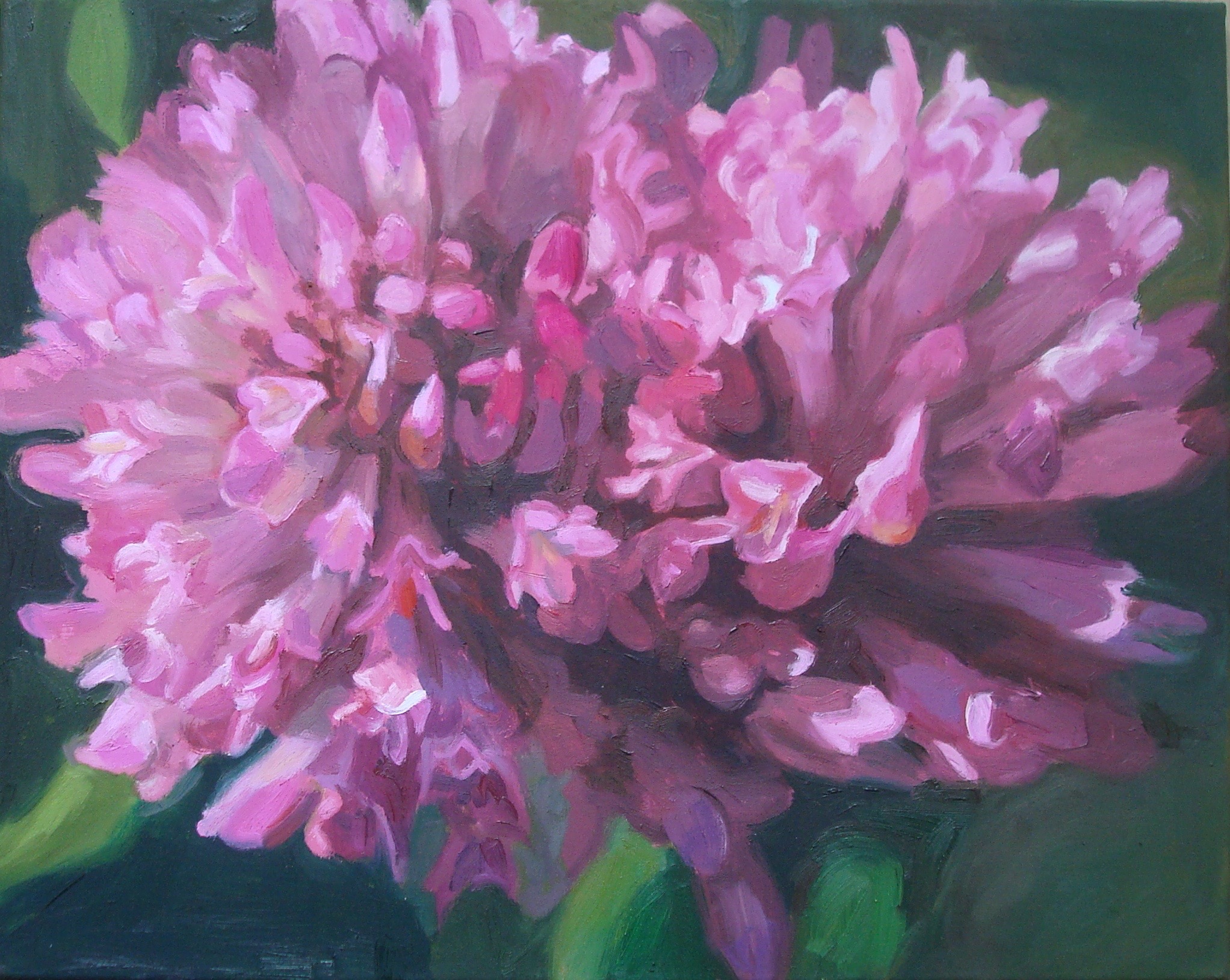 De kunstenaar en zijn collectie