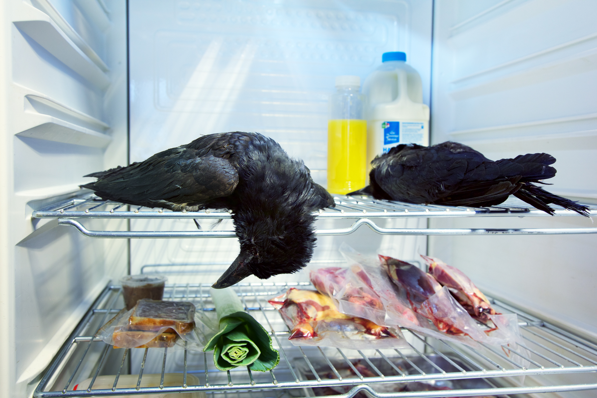 ONGEMAKKELIJK / AWKWARD