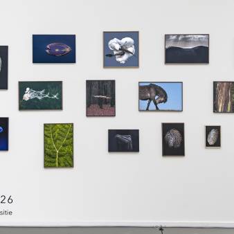 Expostitie Nieuwe Arti Leden 10 april - 10 mei 2026