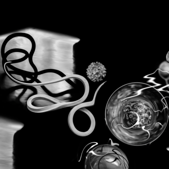 SPIRIT HOUSING - 2025