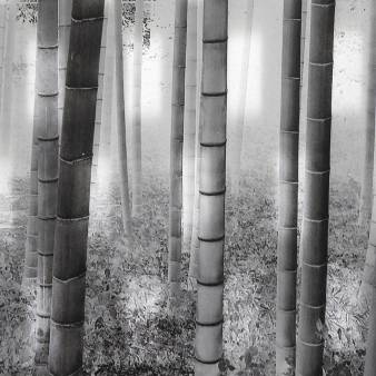 Yugen - fine art sumi-e print, wooden frame , art glass 33 x 47 cm