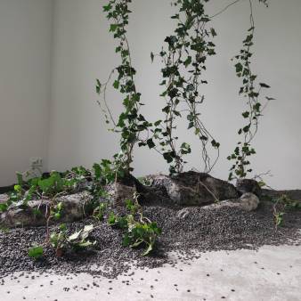 Lazarus,  installation, (dimensions variable), mannequin, plaster, oil paint, mounting kit (burned), ash, ivy, soil, sunflower seeds. 2024