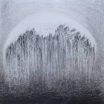 trees leaving the earth, 2024