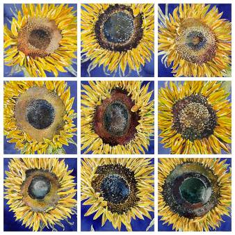 Maurice Christo van Meijel: aquarellen