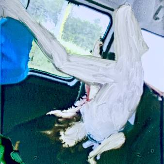 PhotoPainting, ,44 x 60 cm, 2025