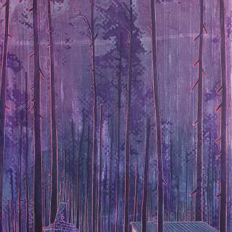 looking for the ladder