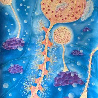 Fragile, don't touch it! Pastel op papier, 150x90cm