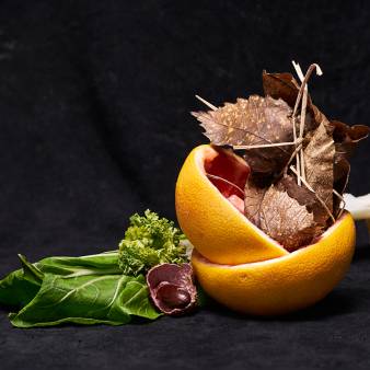 Seeding Economy: recipe grapefruit, paksoi, lychee, parsly