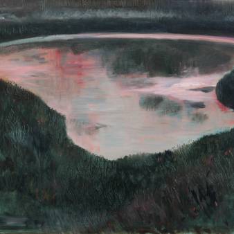 Reflections inside the lake (green) I