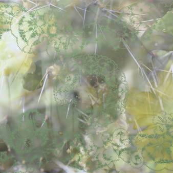 Richelieu Green. 2024