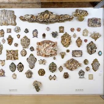 Wall with shellseries. Year variable