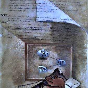 rode kikker gaat slapen