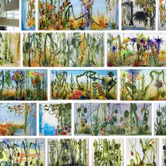 Wildernis - La Selva