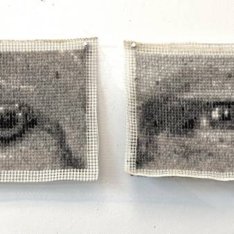 I see you, schapenwol