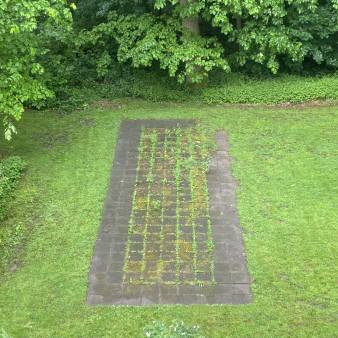 Carpet Garden of Eden, schoongemaakte tegels, onkruid
