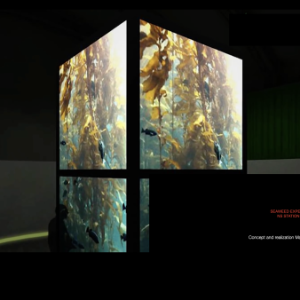 Seaweed Experience The Ocean Breathes Margot Berkman