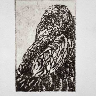 Turkey, ets 15x10cm, 2024