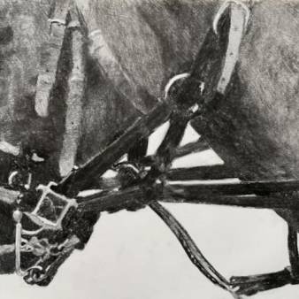 Bound, houtskool op papier 50x65cm, 2020