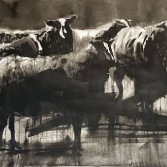 Herd immunity, inkt op papier 107x200cm, 2020