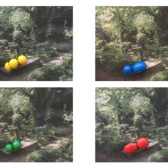 'Limited editions' (2021)