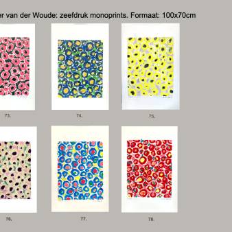 6 zeefdruk monoprints, per stuk 100x65cm