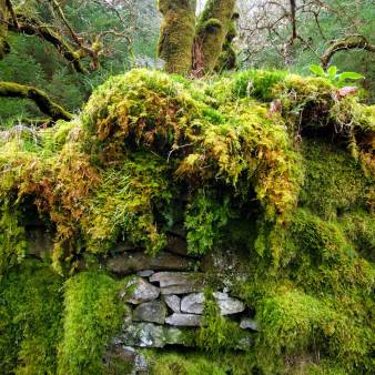 Sheskin Lodge waar mijn peetvader ging vroeger hengelen. Nu langzaam aan het vervallen. Mayo, Ierland.