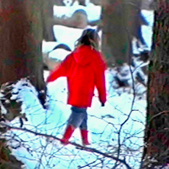 In the woods (pigment print)