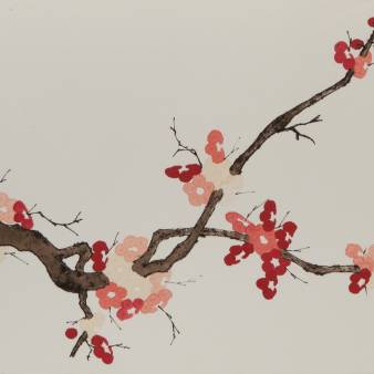 plum blossom, spring