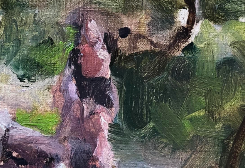 Piet Groenendijk | Opgewekte Natuur