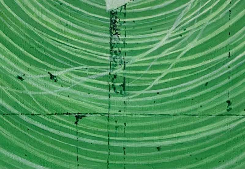 Anneke Timmerman | IN HET VOORBIJGAAN