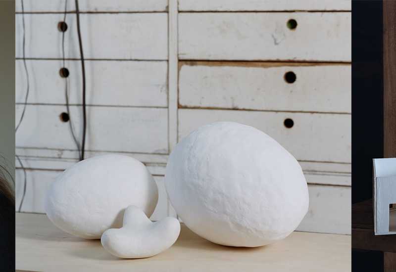 It’s a Bird. No, it’s a Swan. An attempt to capture Loes.