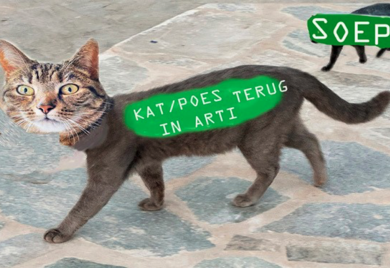 Beeld en Taal deel 3 DE KAT/POES TERUG IN ARTI