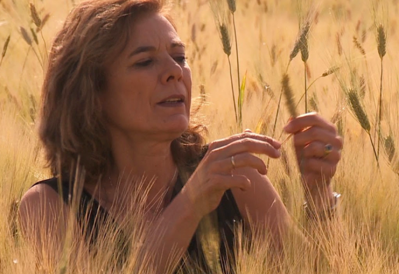 BACKUP.VAVILOV- Discussion with Professor Louise O Fresco on her fascination with Vavilov.