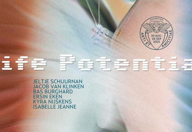 Life Potential 2