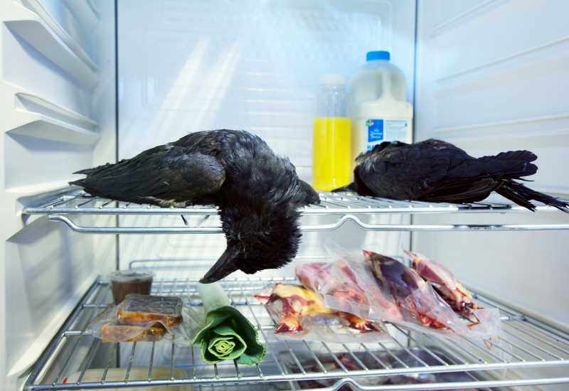 ONGEMAKKELIJK / AWKWARD