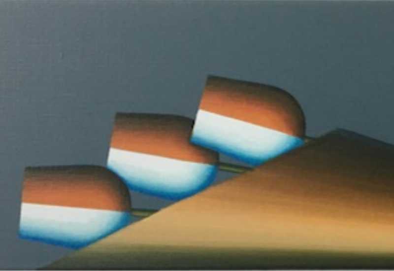 Gerda Kruimer en Frank Lenferink