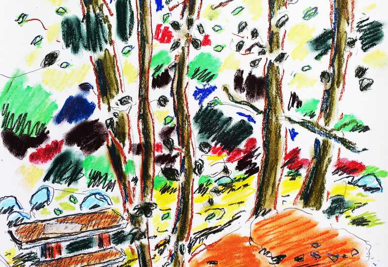 Reinder van der Woude