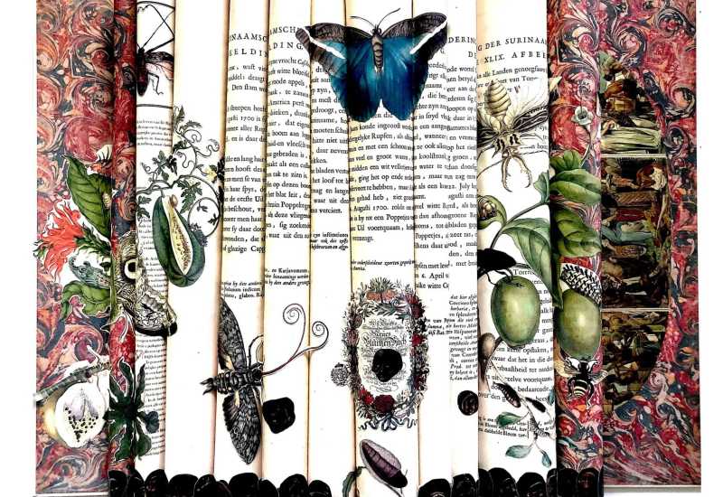 Exhibition and Dialogues - Surinamensium Part 1