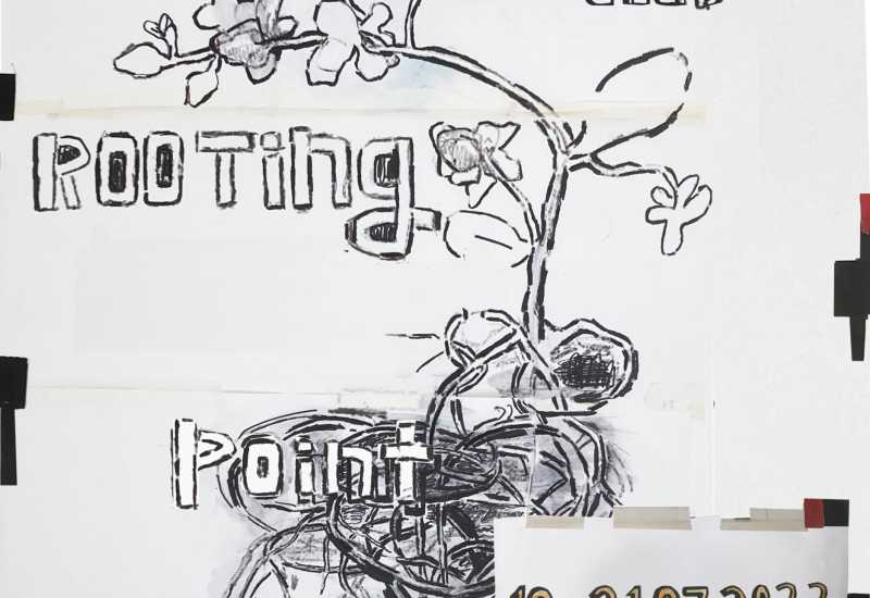 Rooting Point