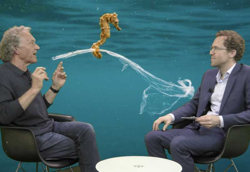 Optimisme in het Antropoceen