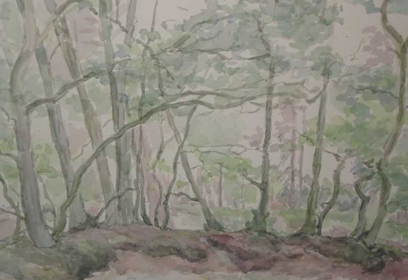 Marijke Thunnissen - van Lijn tot Leven