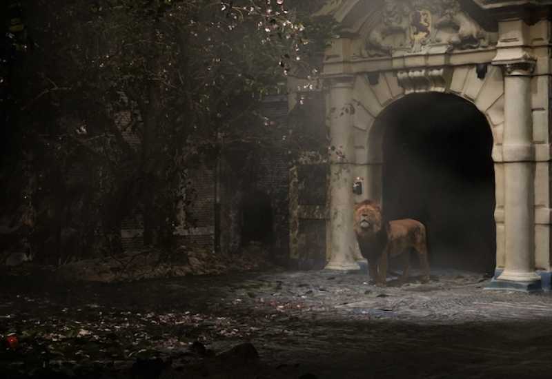 The Lion's Court